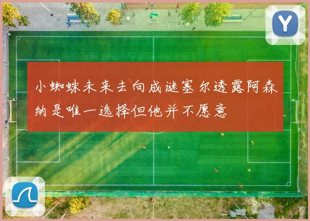 小蜘蛛未来去向成谜塞尔透露阿森纳是唯一选择但他并不愿意