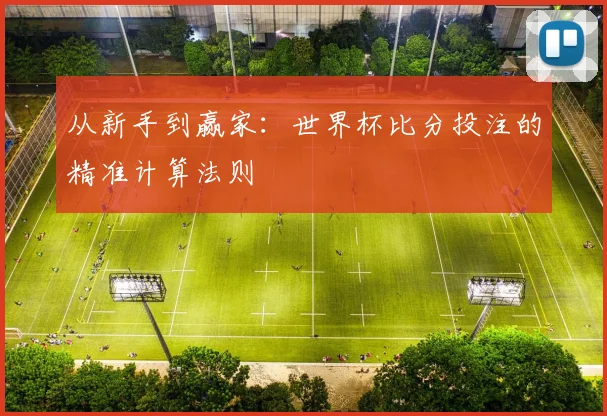 从新手到赢家：世界杯比分投注的精准计算法则
